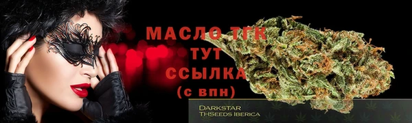 прущий лед Горняк
