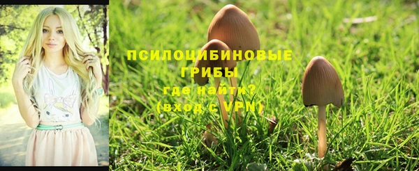 мдма Горнозаводск