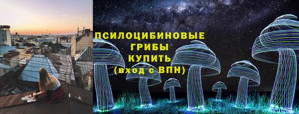 прущий лед Горняк