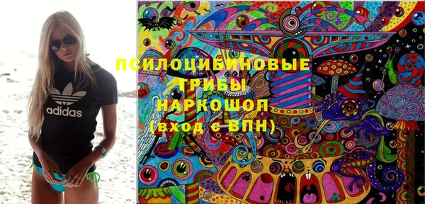 прущий лед Горняк